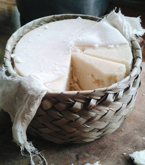 los-quesos-mexicanos-una-riqueza-de-nuestra-gastronomia-6-1